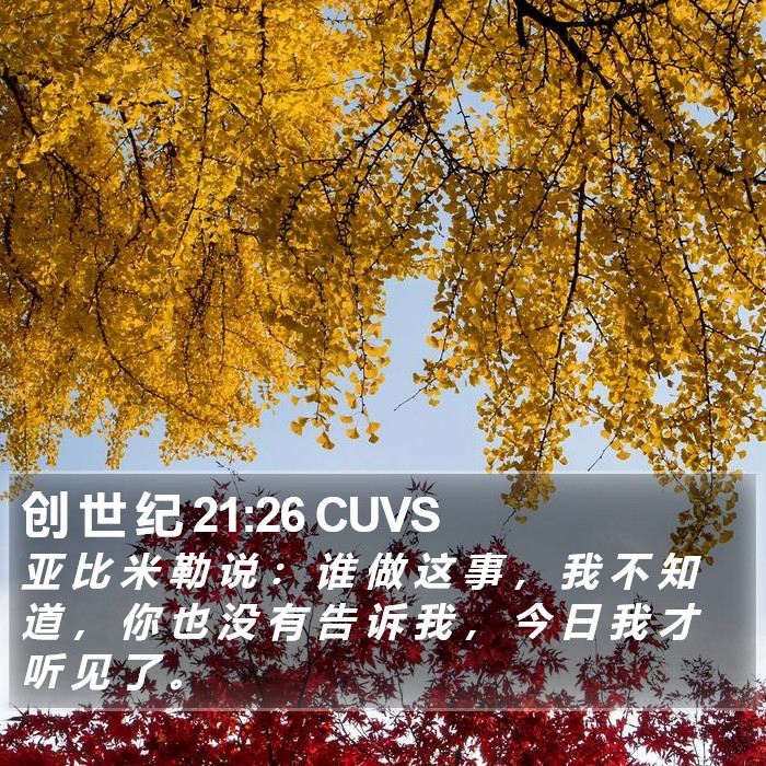 创 世 纪 21:26 CUVS Bible Study