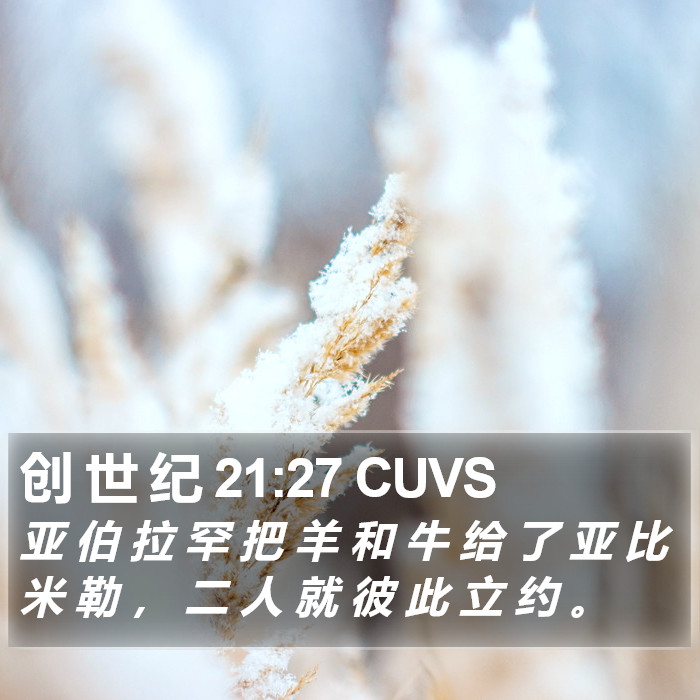 创 世 纪 21:27 CUVS Bible Study