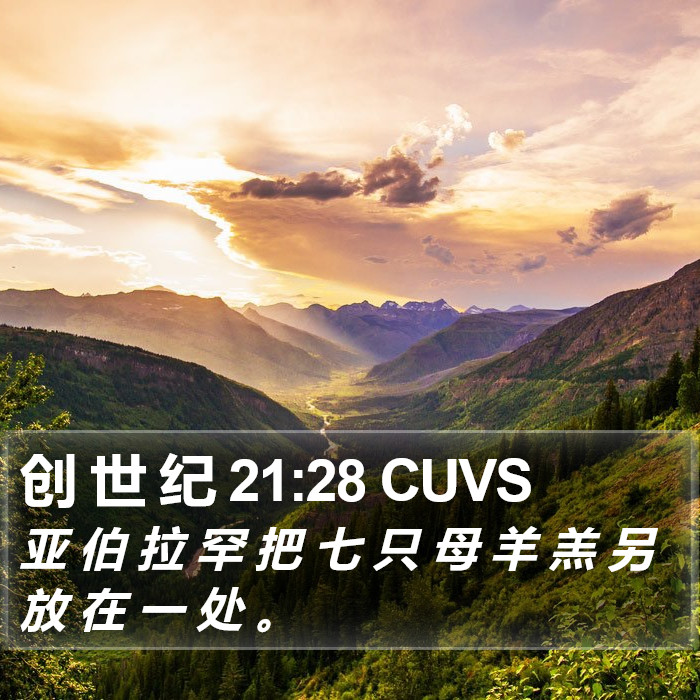 创 世 纪 21:28 CUVS Bible Study