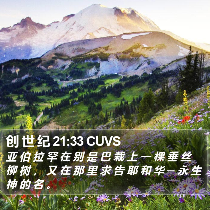 创 世 纪 21:33 CUVS Bible Study