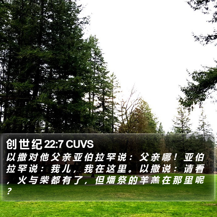 创 世 纪 22:7 CUVS Bible Study