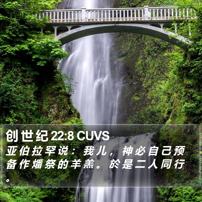 创 世 纪 22:8 CUVS Bible Study