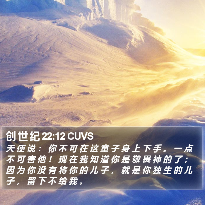 创 世 纪 22:12 CUVS Bible Study