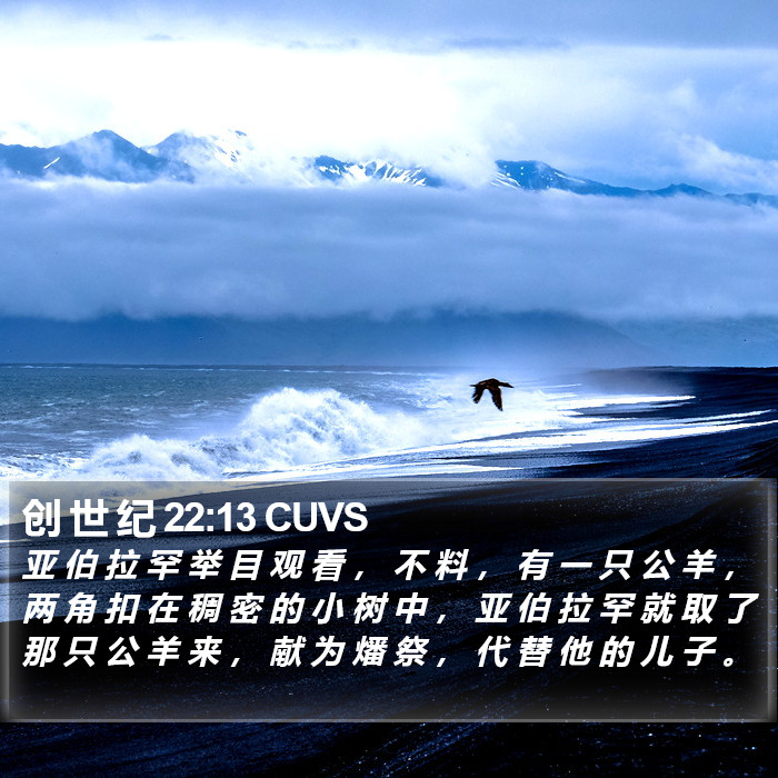 创 世 纪 22:13 CUVS Bible Study