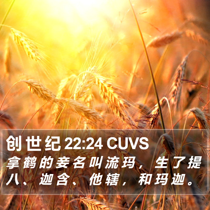 创 世 纪 22:24 CUVS Bible Study