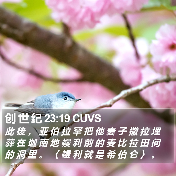 创 世 纪 23:19 CUVS Bible Study