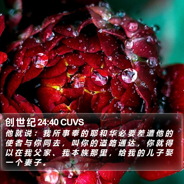 创 世 纪 24:40 CUVS Bible Study