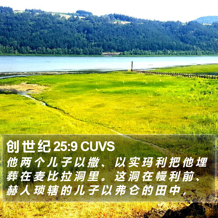 创 世 纪 25:9 CUVS Bible Study