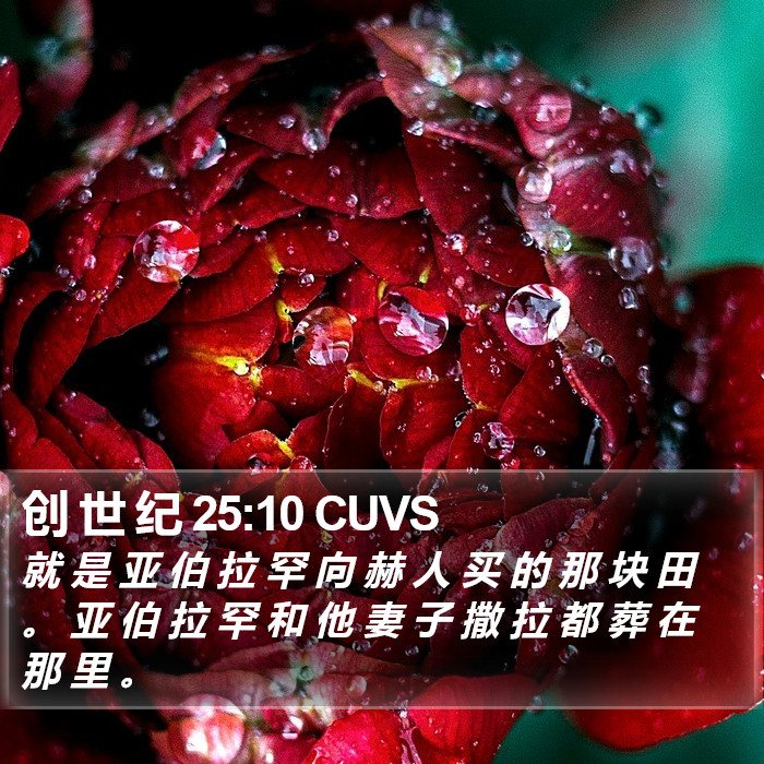 创 世 纪 25:10 CUVS Bible Study