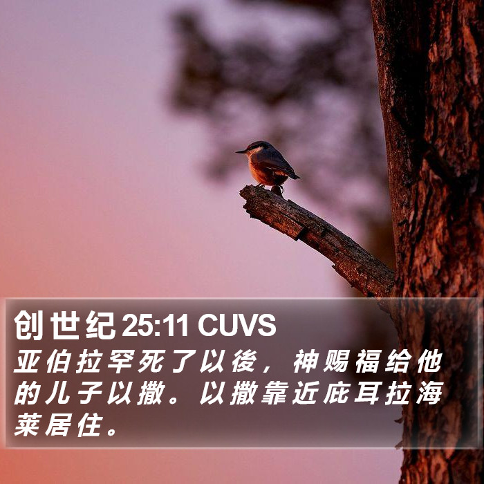 创 世 纪 25:11 CUVS Bible Study