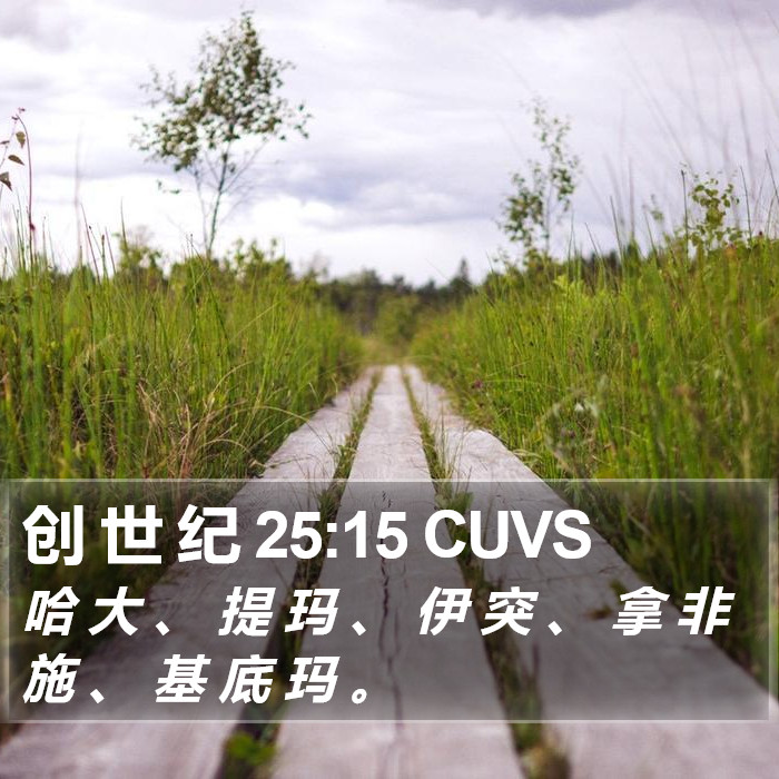 创 世 纪 25:15 CUVS Bible Study