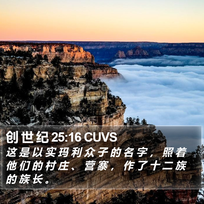 创 世 纪 25:16 CUVS Bible Study