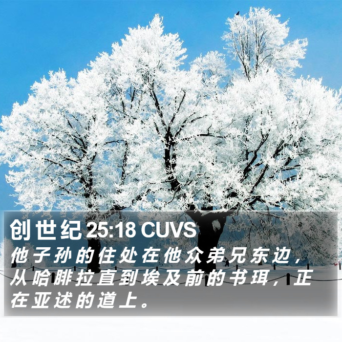 创 世 纪 25:18 CUVS Bible Study