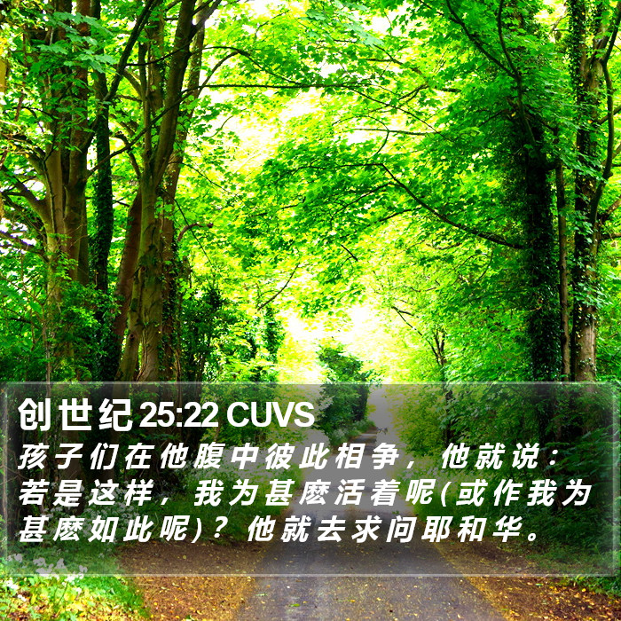 创 世 纪 25:22 CUVS Bible Study