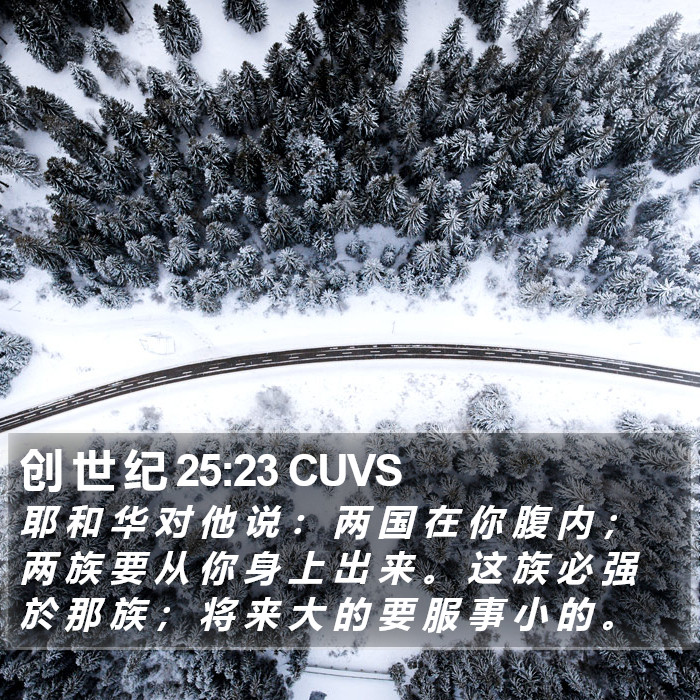 创 世 纪 25:23 CUVS Bible Study