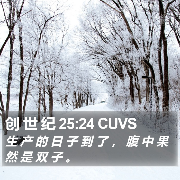 创 世 纪 25:24 CUVS Bible Study