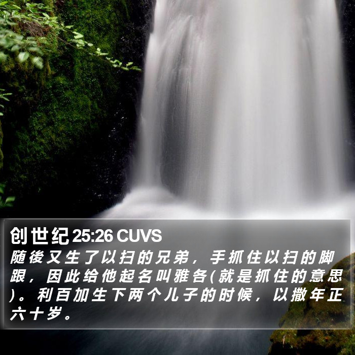 创 世 纪 25:26 CUVS Bible Study