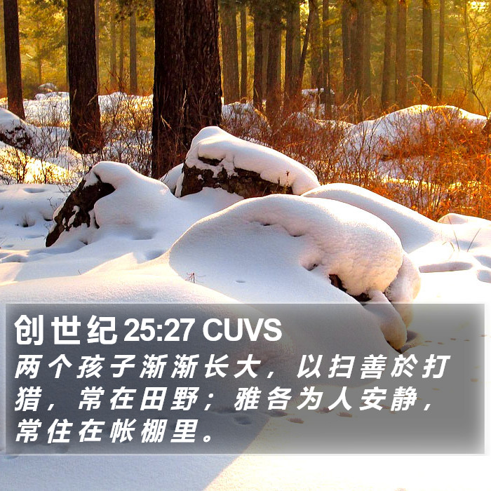 创 世 纪 25:27 CUVS Bible Study