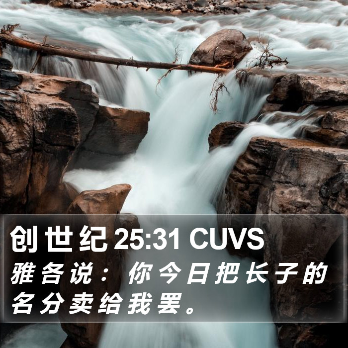 创 世 纪 25:31 CUVS Bible Study