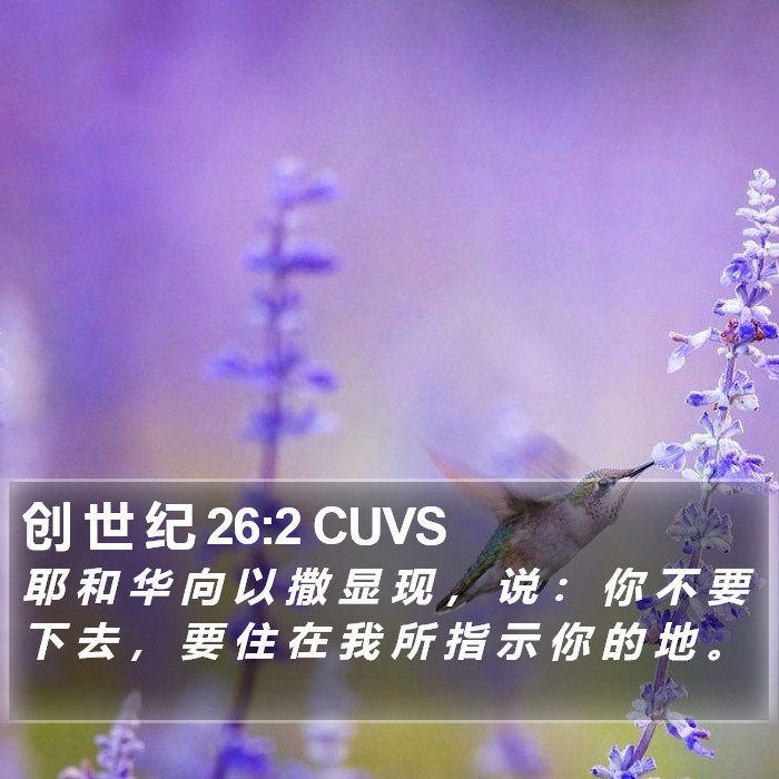 创 世 纪 26:2 CUVS Bible Study