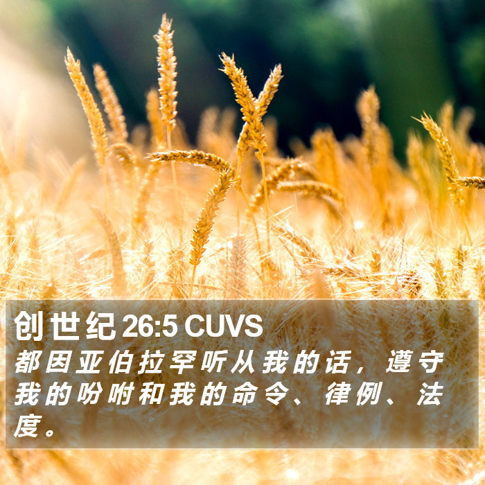 创 世 纪 26:5 CUVS Bible Study