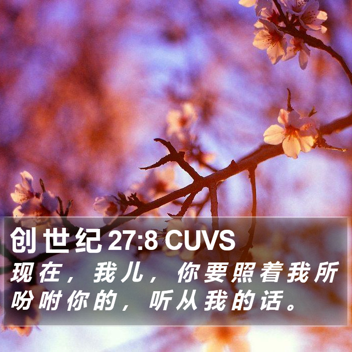 创 世 纪 27:8 CUVS Bible Study