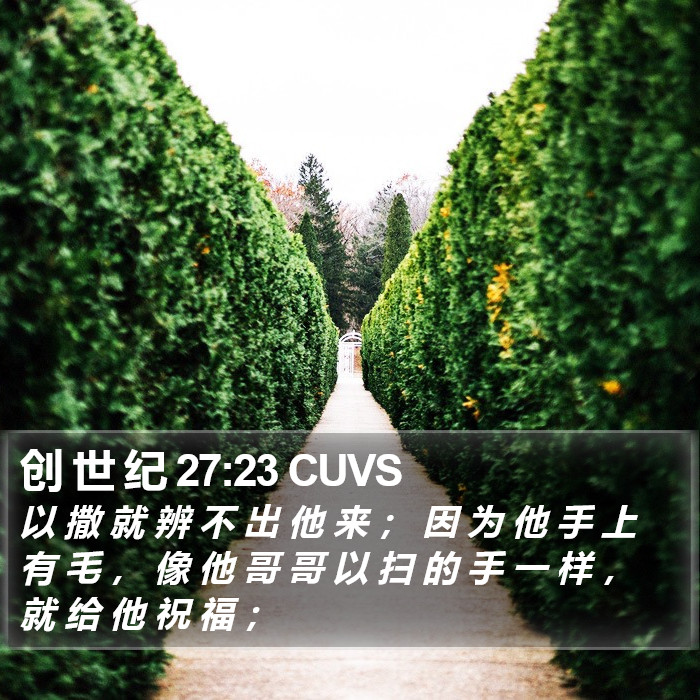 创 世 纪 27:23 CUVS Bible Study