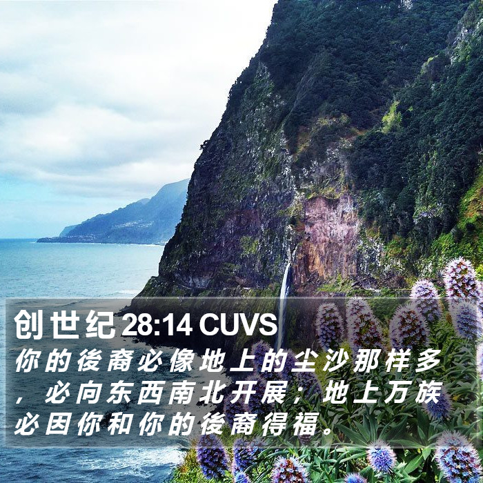 创 世 纪 28:14 CUVS Bible Study