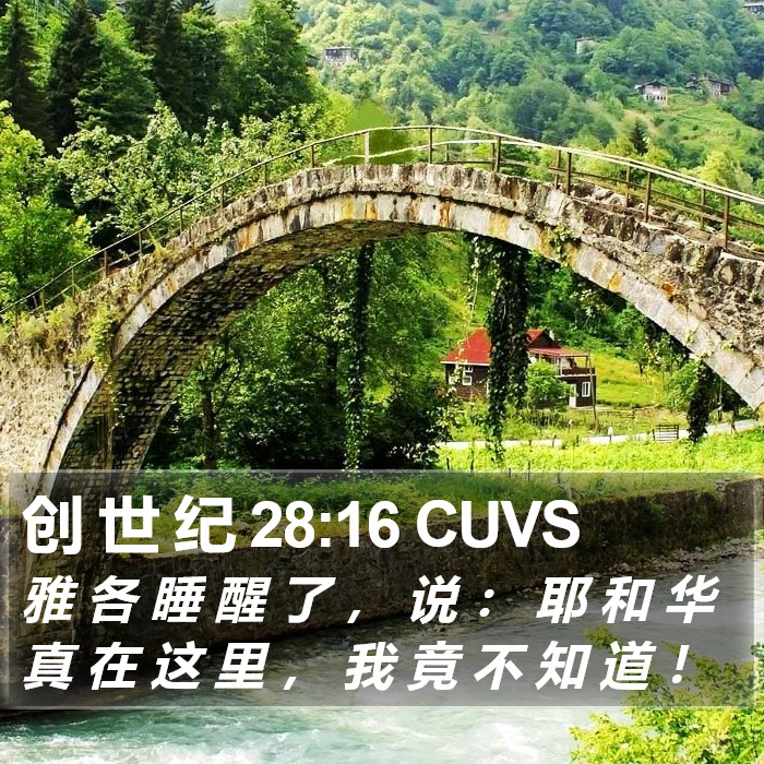 创 世 纪 28:16 CUVS Bible Study