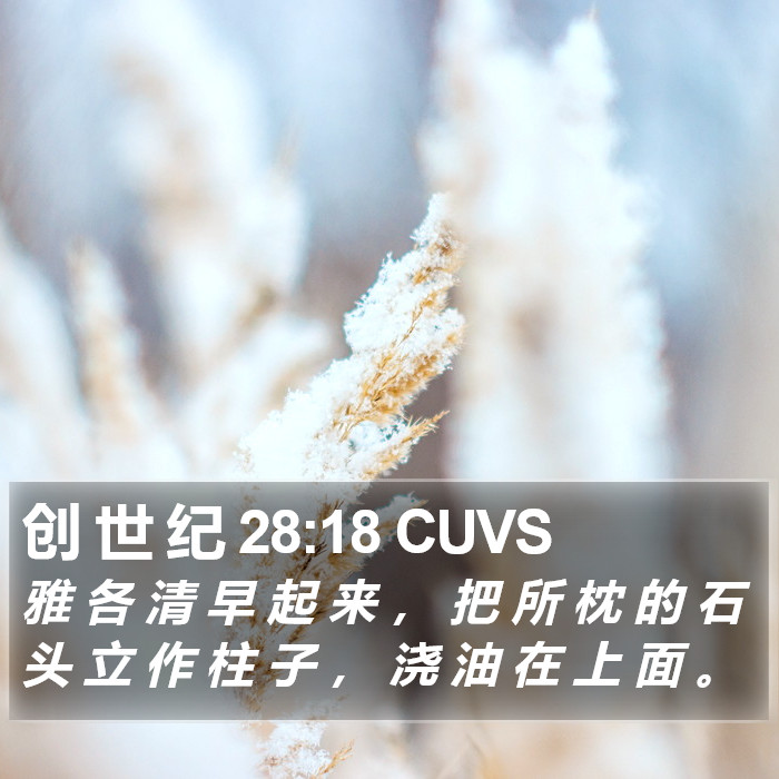 创 世 纪 28:18 CUVS Bible Study