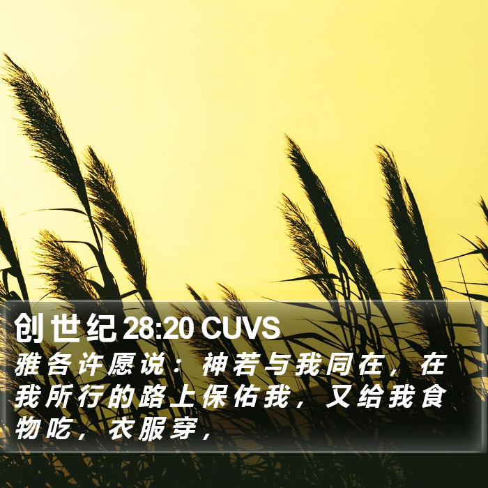 创 世 纪 28:20 CUVS Bible Study