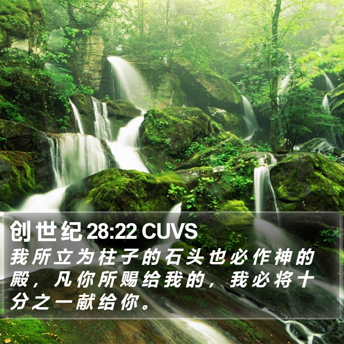 创 世 纪 28:22 CUVS Bible Study