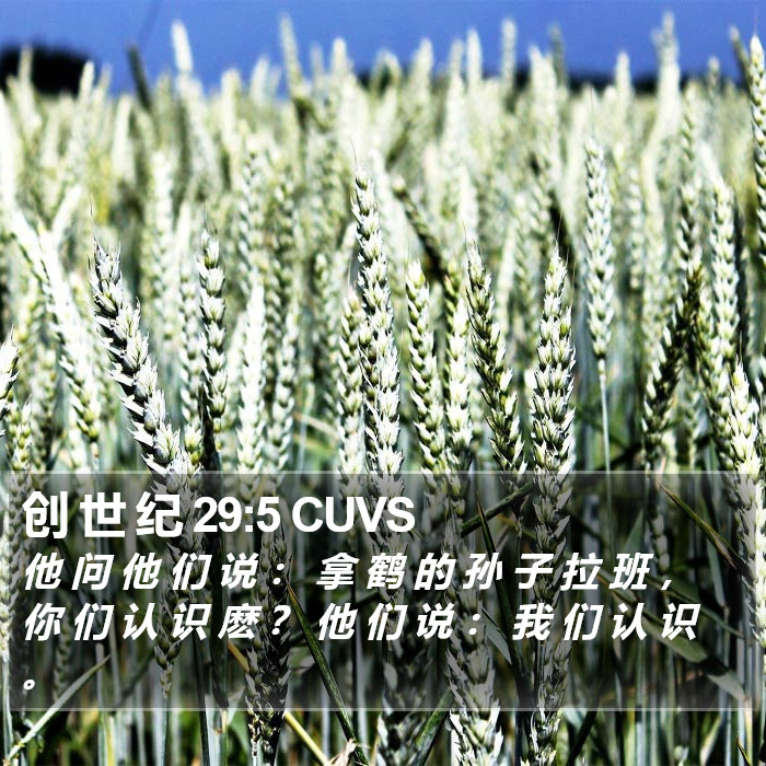 创 世 纪 29:5 CUVS Bible Study
