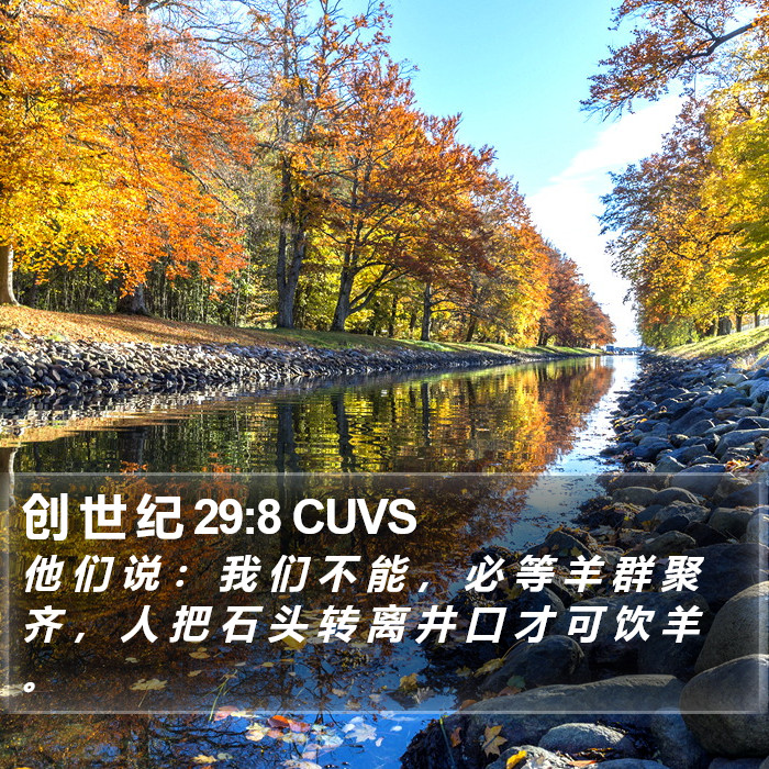 创 世 纪 29:8 CUVS Bible Study