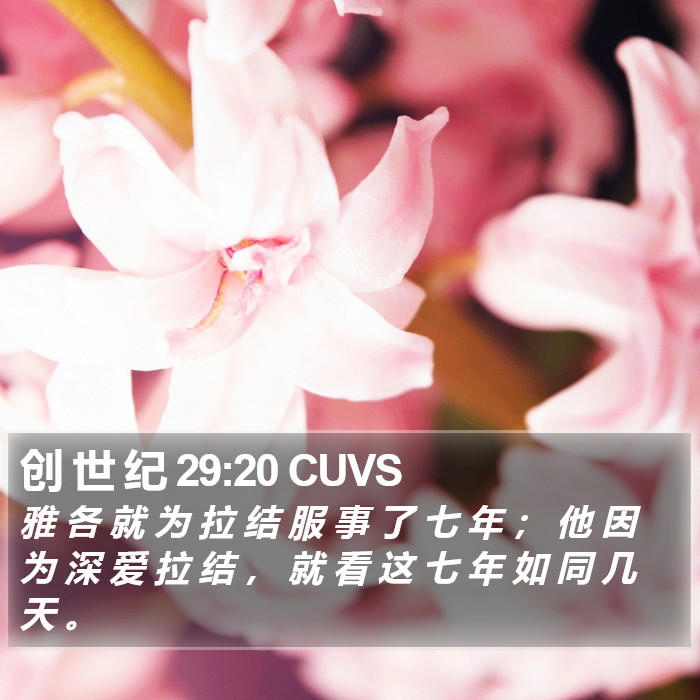 创 世 纪 29:20 CUVS Bible Study