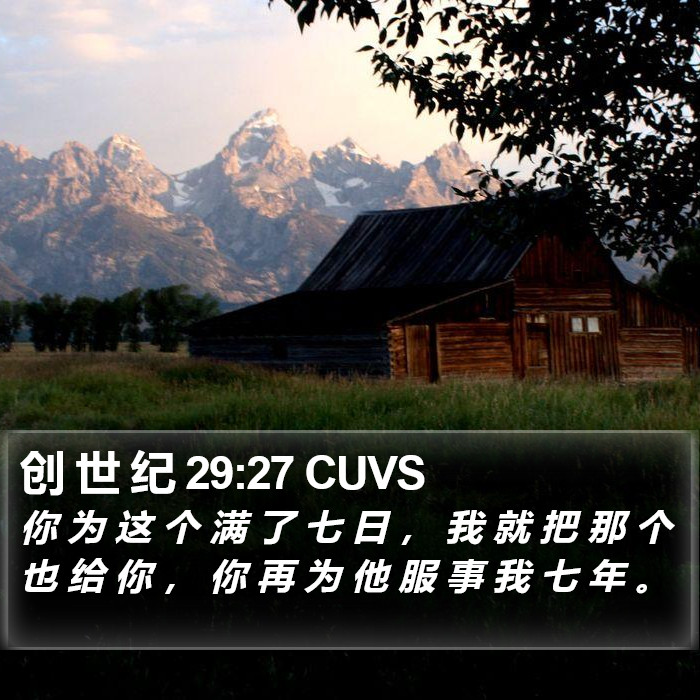 创 世 纪 29:27 CUVS Bible Study