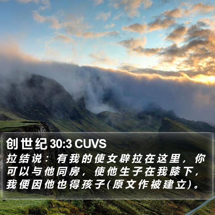 创 世 纪 30:3 CUVS Bible Study