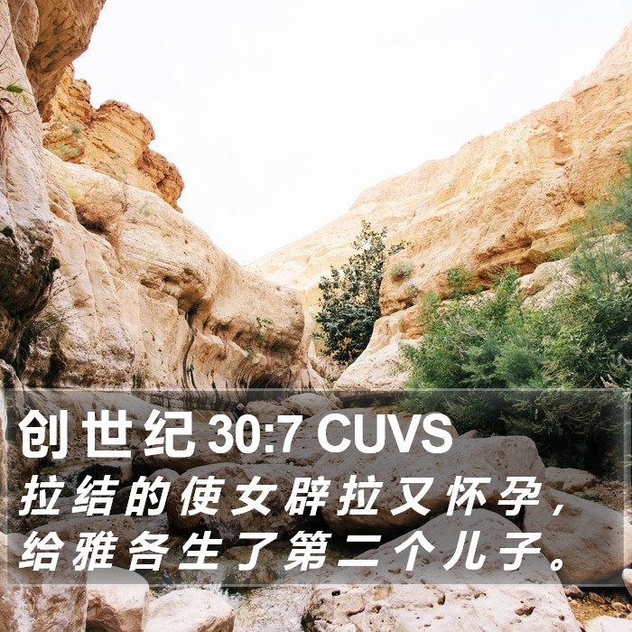 创 世 纪 30:7 CUVS Bible Study