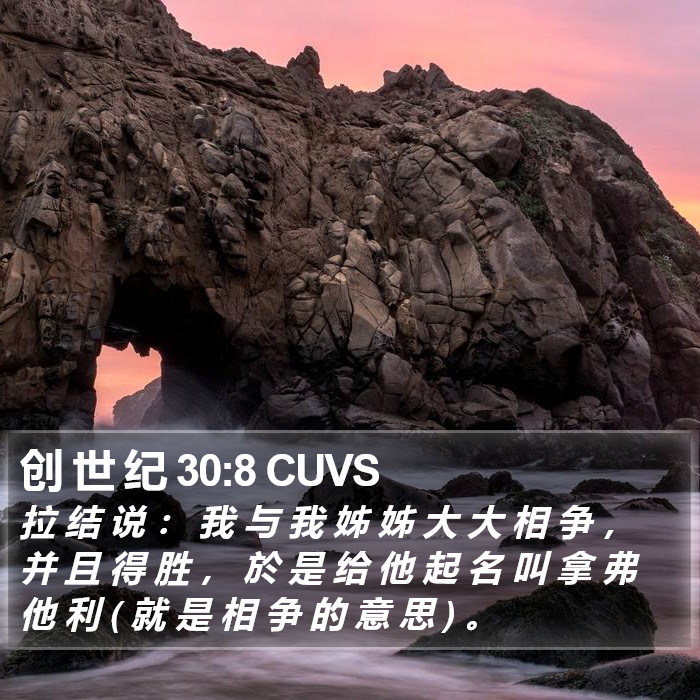 创 世 纪 30:8 CUVS Bible Study