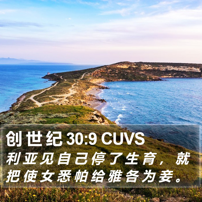 创 世 纪 30:9 CUVS Bible Study