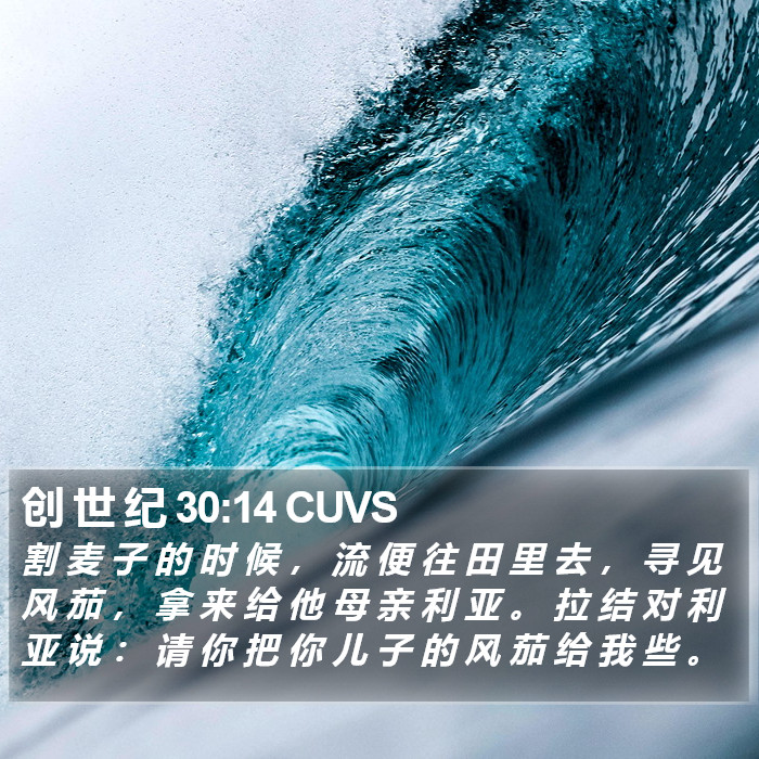 创 世 纪 30:14 CUVS Bible Study