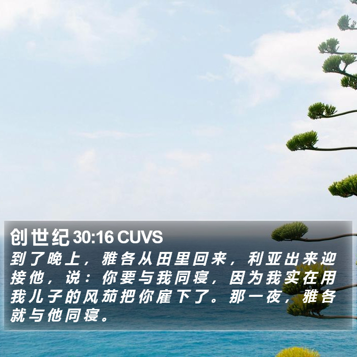 创 世 纪 30:16 CUVS Bible Study