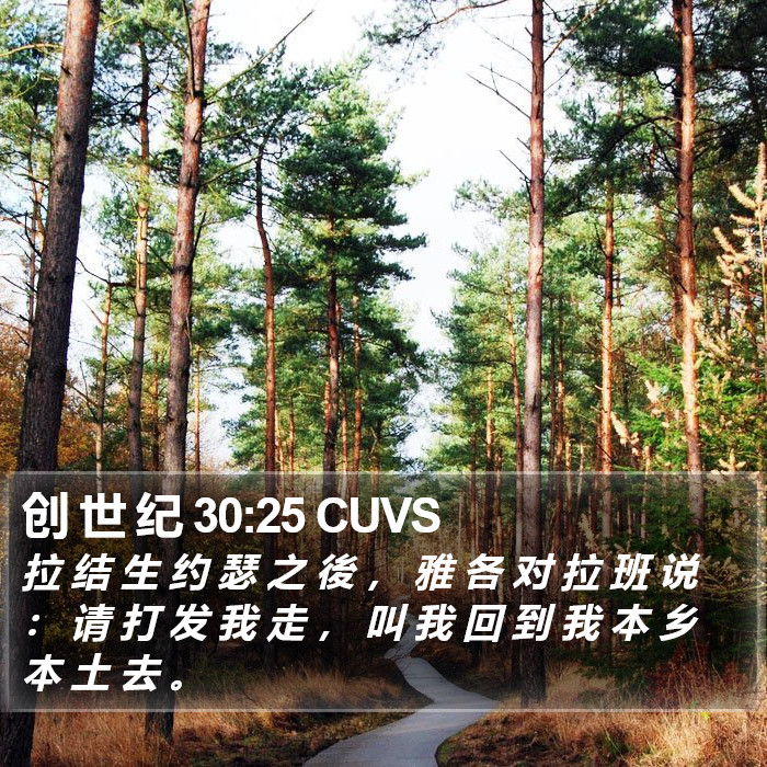 创 世 纪 30:25 CUVS Bible Study