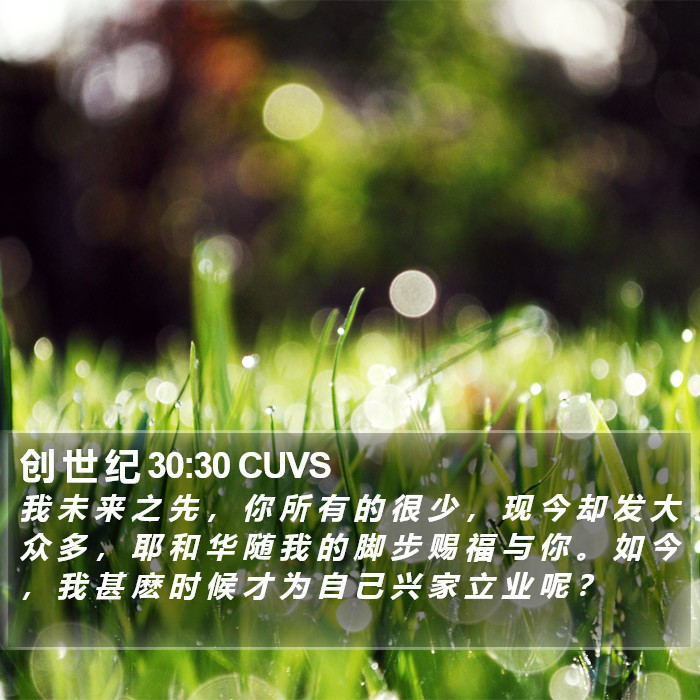 创 世 纪 30:30 CUVS Bible Study