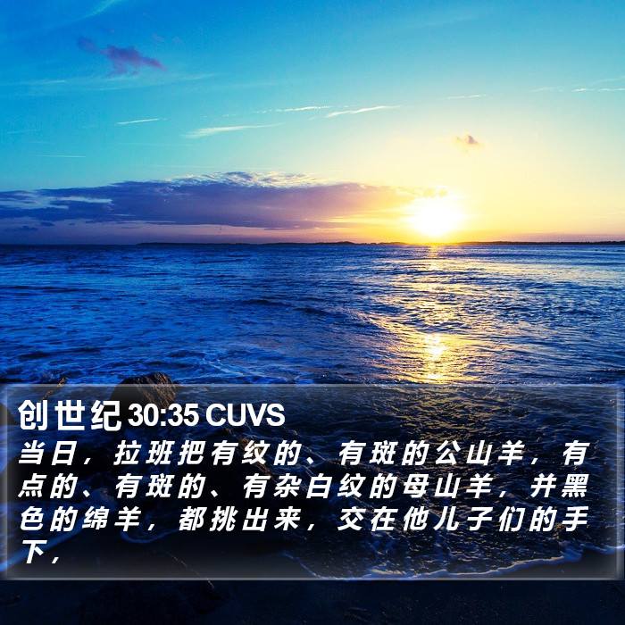 创 世 纪 30:35 CUVS Bible Study