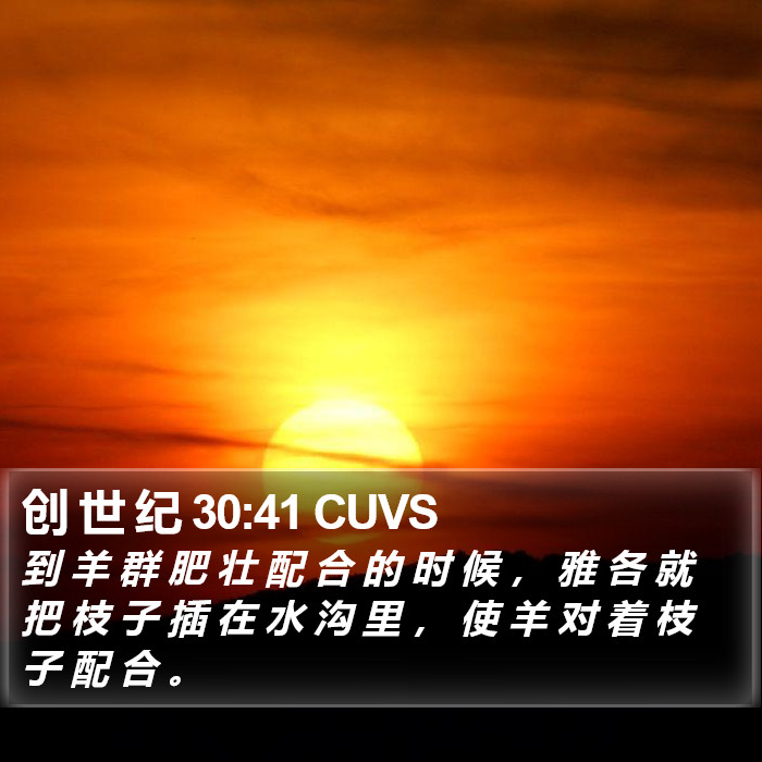 创 世 纪 30:41 CUVS Bible Study