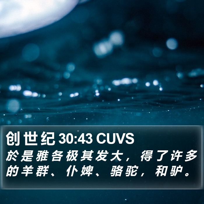 创 世 纪 30:43 CUVS Bible Study