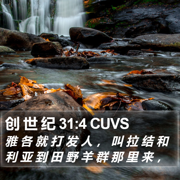 创 世 纪 31:4 CUVS Bible Study