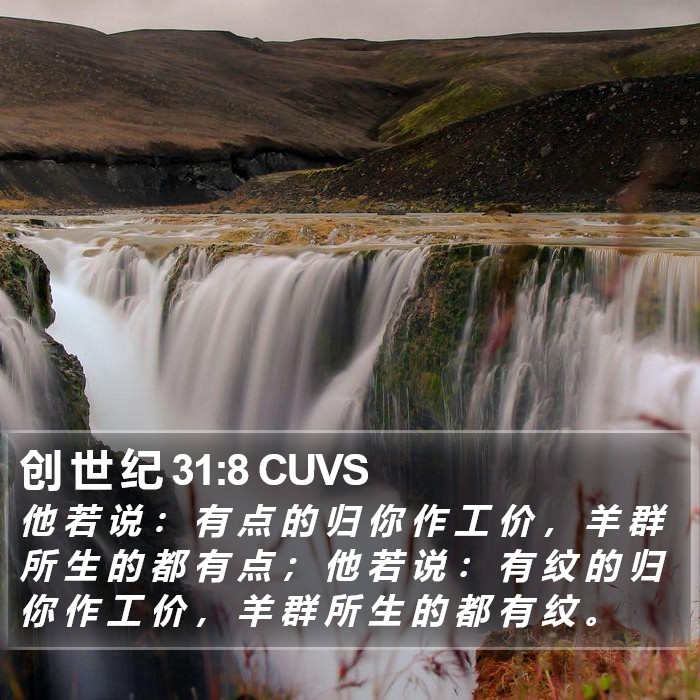 创 世 纪 31:8 CUVS Bible Study