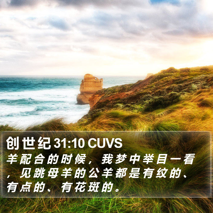 创 世 纪 31:10 CUVS Bible Study